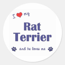 I Liebe mein Ratten-Terrier (männlicher Hund) Runde Sticker