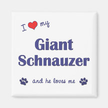 I Liebe mein riesiger Schnauzer (männlicher Hund) Magnete