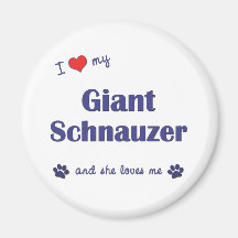 I Liebe mein riesiger Schnauzer (weiblicher Hund) Kühlschrankmagnet