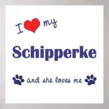 I Liebe mein Schipperke (weiblicher Hund) Plakatdruck
