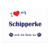 I Liebe mein Schipperke (weiblicher Hund) Postkarte