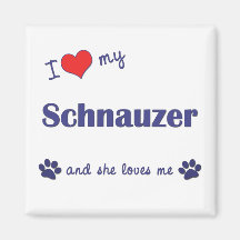 I Liebe mein Schnauzer (weiblicher Hund) Magnete