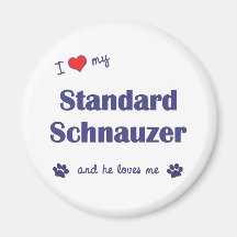 I Liebe mein StandardSchnauzer (männlicher Hund) Kühlschrankmagnete