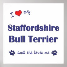 I Liebe mein Terrier Staffordshires Stier (weiblic Posterdruck