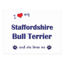 I Liebe mein Terrier Staffordshires Stier (weiblic Postkarte