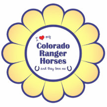 I Liebe meine Colorado-Förster-Pferde (mehrfache P Photofigur