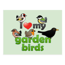 I Liebe meine Garten-Vögel Postkarte
