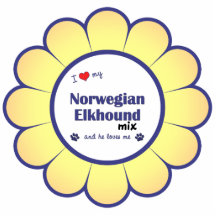 I Liebe meine norwegische Elkhound Mischung (männl Photo Skulpturen