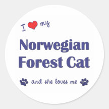 I Liebe meine norwegische Waldkatze (weibliche Kat Stickers