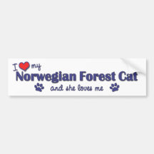I Liebe meine norwegische Waldkatze (weibliche Kat Autoaufkleber
