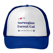 I Liebe meine norwegische Waldkatze (weibliche Kat Kultmütze