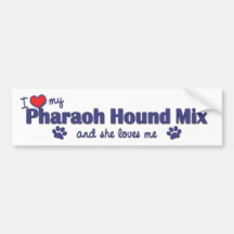 I Liebe meine Pharao-Jagdhund-Mischung (weiblicher Auto Sticker
