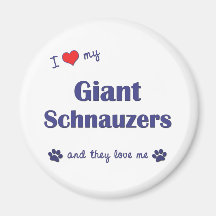 I Liebe meine riesigen Schnauzers (mehrfache Hunde Kühlschrankmagnet