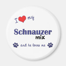 I Liebe meine Schnauzer-Mischung (männlicher Hund) Magnete