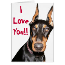 I Liebe Sie!! Dobermann Karte