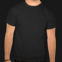 I Pwn Noobs t-shirts