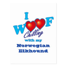 I Schuss-Norweger Elkhound Postkarte
