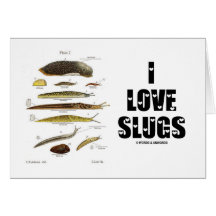 I Slugs Liebe (Naturwissenschaftler/Natur) Karten