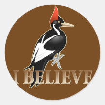 IBWO: Ich glaube Runder Sticker