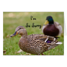 Ich bin so traurige Enten-Karte