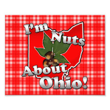 Ich bin über Ohio, lustige rote Rosskastanien-Nuss Kunstfoto