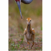 Ich kann es tun! foto figuren