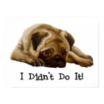 Ich tat es nicht Mops-Plakat poster