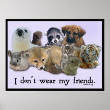 Ich trage nicht meine Freunde Plakatdruck