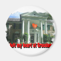 Ich verließ mein Herz bei Graceland Kühlschrankmagnete