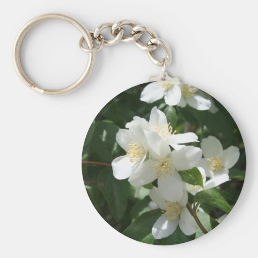 Idaho-Staats-Blume, der Syringa Schlüsselbänder