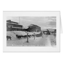 Iditarod Alaska Birdseye 1914 Karten
