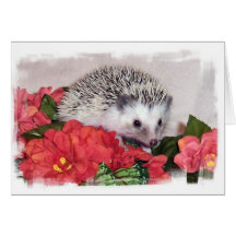 Igel mit orange Blumen Grußkarten