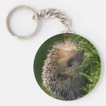 Igel Schlüsselband