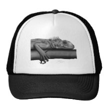Iguana 2 mesh hat