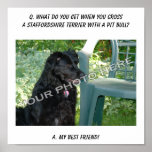 Ihr Foto! Mischung bester Freund-Staffordshires Te Posterdrucke