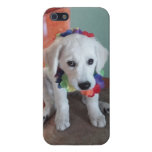 Ihr Haustier auf einem Photousa iphone Fall iPhone 5 Schutzhülle