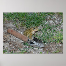 Im Garten arbeitenkröte, Druck Poster