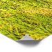 Ecke