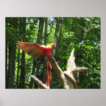 IMG_0914 PLAKATE