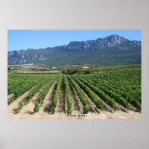 IMG_6159, Rioja, Spanien Posterdrucke