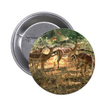 Impala Anstecknadelbutton