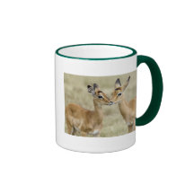 Impala Babys Teehaferl