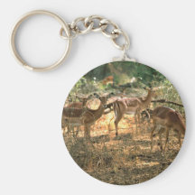 Impala Schlüsselband