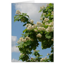 In voller Blüte Grußkarten