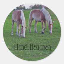 Indiana-Pferdeteam Aufkleber