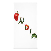 Indien-Chili-Paprikaschoten Photokarte