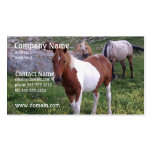 Indische Pony-Visitenkarte