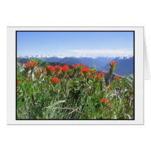 Indischer Malerpinsel, olympischer Nationalpark Karten