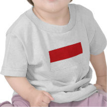 Indonesien-Staatsflagge Shirt