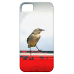 Industrial rustic chic sparrow swallow bird photo iPhone 5 covers